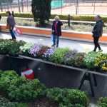 Flower Fair Market 8