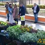 Flower Fair Market 9