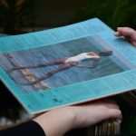 Long Live Vinyl! Record Store Day in Dubrovnik 5 Record Store Day ARL 6