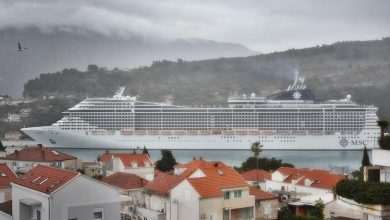 msc fantasia