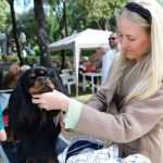 CACIB Croatian Dog Show 12