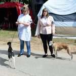 CACIB Croatian Dog Show 14