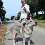 CACIB Croatian Dog Show 16 rotated