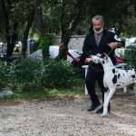 CACIB Croatian Dog Show 19