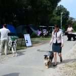 CACIB Croatian Dog Show 2