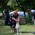 CACIB Croatian Dog Show 23