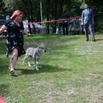 CACIB Croatian Dog Show 24