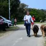 CACIB Croatian Dog Show 3