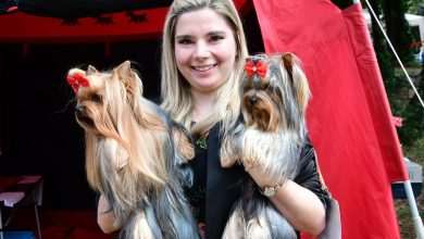 CACIB Croatian Dog Show Main