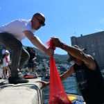 Eco Dubrovnik: How to Clean the Seabed in One Morning 11 Seabed Cleaning 11
