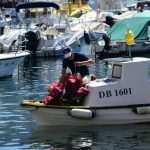 Eco Dubrovnik: How to Clean the Seabed in One Morning 13 Seabed Cleaning 13