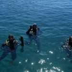 Eco Dubrovnik: How to Clean the Seabed in One Morning 16 Seabed Cleaning 16