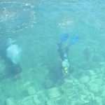 Eco Dubrovnik: How to Clean the Seabed in One Morning 18 Seabed Cleaning 18