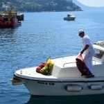 Eco Dubrovnik: How to Clean the Seabed in One Morning 22 Seabed Cleaning 22