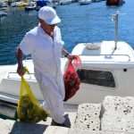 Eco Dubrovnik: How to Clean the Seabed in One Morning 3 Seabed Cleaning 3