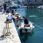 Eco Dubrovnik: How to Clean the Seabed in One Morning 4 Seabed Cleaning 4