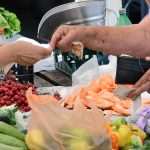 Green and Fish Market 12