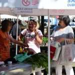 Green and Fish Market 16