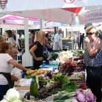 Green and Fish Market 17