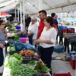 Green and Fish Market 18