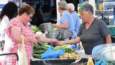 Green and Fish Market 19