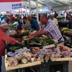 Green and Fish Market 20