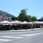 Green and Fish Market 22