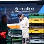 Green and Fish Market 24