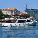 Green and Fish Market 5