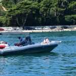 Green and Fish Market 6