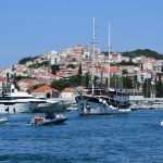 Green and Fish Market 7