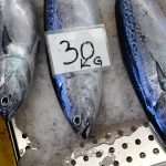 Green and Fish Market 9