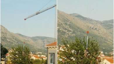 Picking Sweet Cherries With a Crane