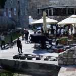 Tripti Dimri and Vicky Kaushal 28