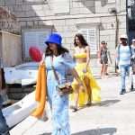 Tripti Dimri and Vicky Kaushal 31