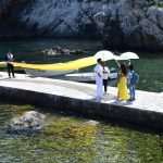 Tripti Dimri and Vicky Kaushal 5