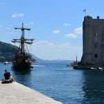 Tripti Dimri and Vicky Kaushal 9