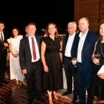 reception and fireworks DSF 11