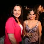 reception and fireworks DSF 13