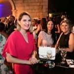 reception and fireworks DSF 14