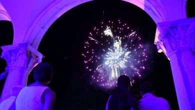 reception and fireworks DSF 28