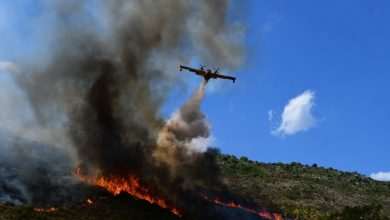 Goran Komlenac, Member of The Dubrovnik Fire Brigade, Died Saving Others From Fire 1 Fire Nearby Orasac 10