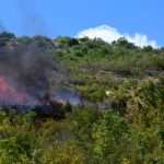 Goran Komlenac, Member of The Dubrovnik Fire Brigade, Died Saving Others From Fire 12 Fire Nearby Orasac 12