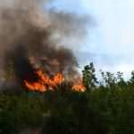 Goran Komlenac, Member of The Dubrovnik Fire Brigade, Died Saving Others From Fire 13 Fire Nearby Orasac 13
