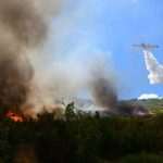 Goran Komlenac, Member of The Dubrovnik Fire Brigade, Died Saving Others From Fire 16 Fire Nearby Orasac 16