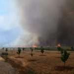Goran Komlenac, Member of The Dubrovnik Fire Brigade, Died Saving Others From Fire 18 Fire Nearby Orasac 18
