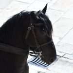 VikingsValhalla Movie Set Old Town 31