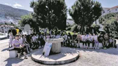 Interesting and Educational Exhibits in Dubrovnik's 'SCIENCE PARK' 29 Wonder Main Photo