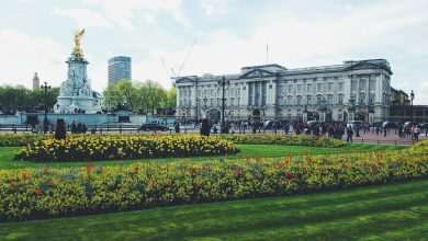 Queen Elizabeth II Has Died 1 hailey wagner u7BZ8dRfHlM unsplash