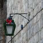 Christmas is Coming Decorations 13